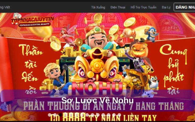 Sơ lược về nohu