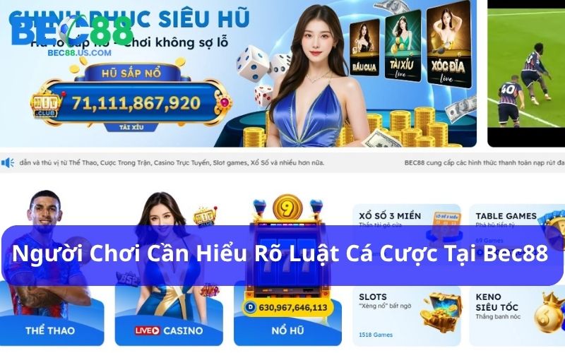 Đánh Giá Hiệu Suất Cá Cược Định Kỳ